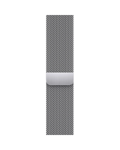 Apple Watch Series 9 GPS + LTE  45mm Silver Stainless Steel Case with Silver Milanese Loop (MRMQ3)